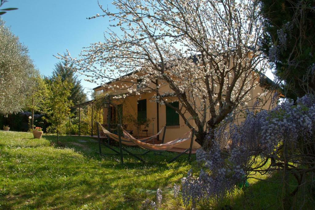 Casa Elisabetta Villa Montescudaio Exterior foto